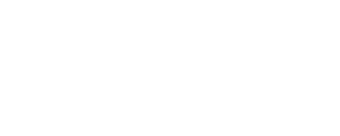 The Net Revenue