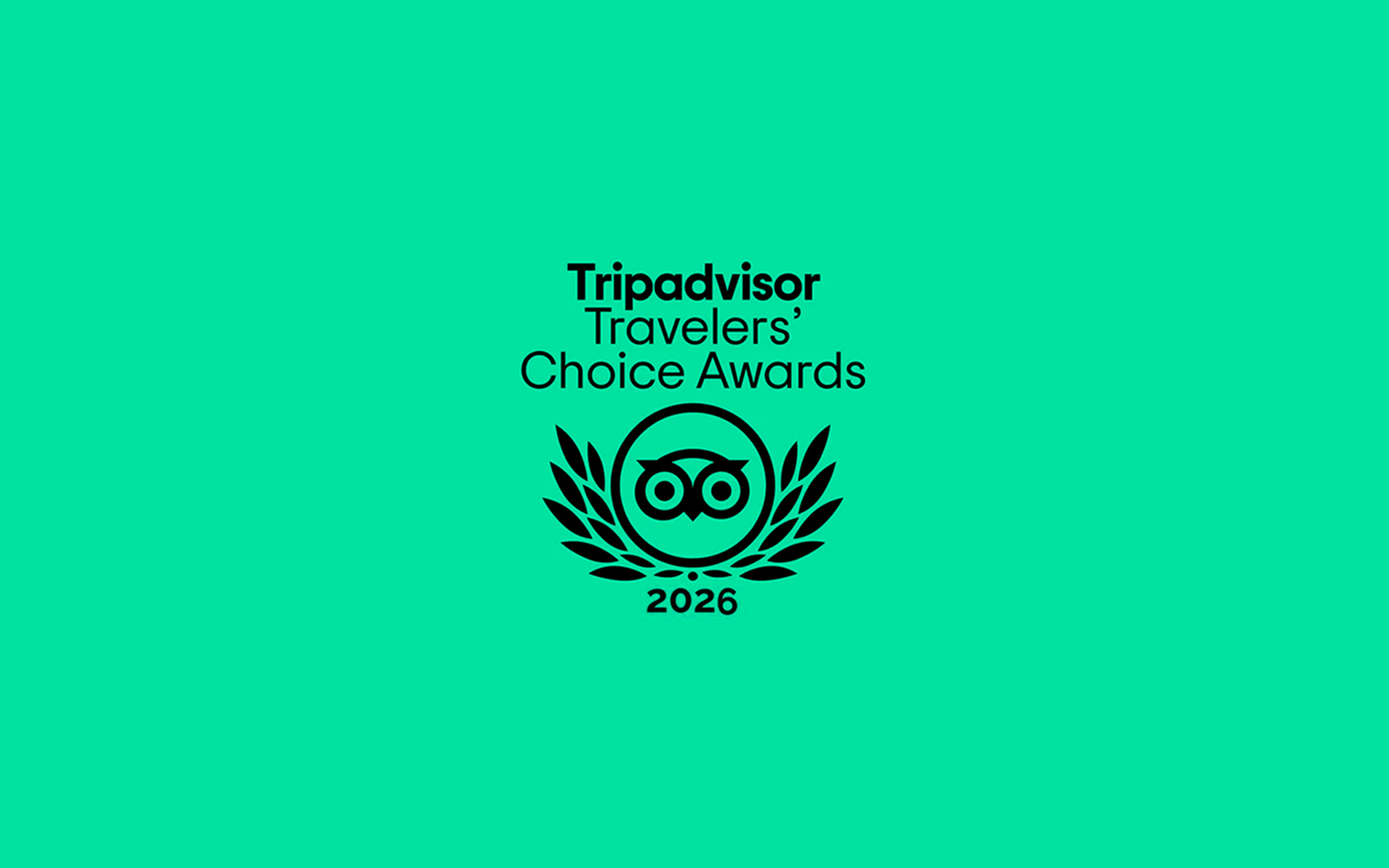 Nuestros clientes brillan en los Travelers’ Choice 2026